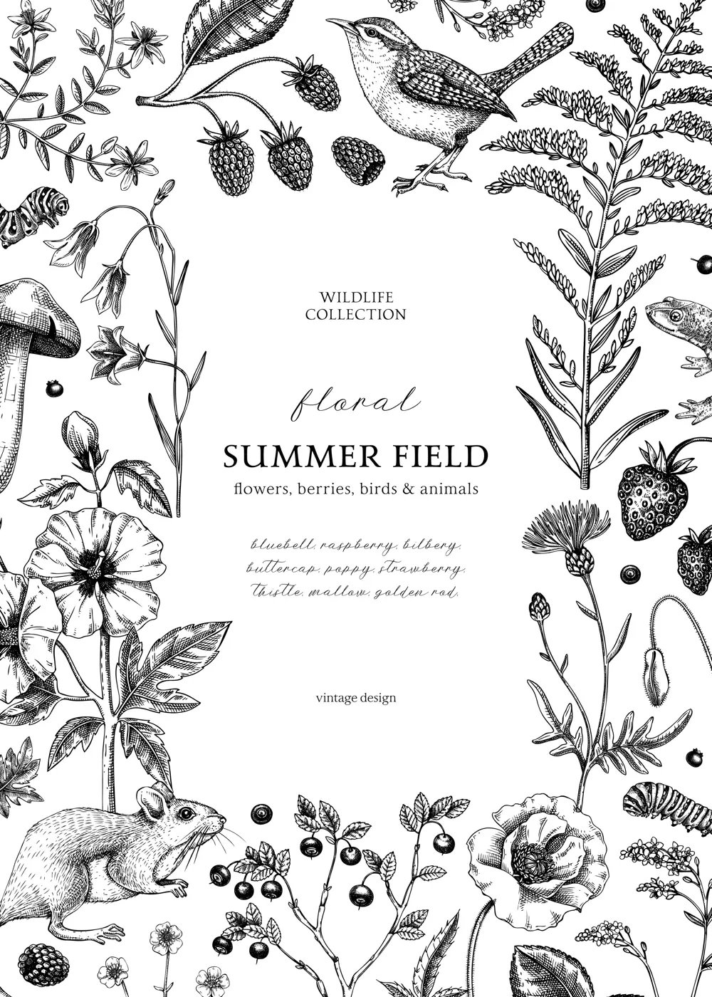 Retro style floral border design. Vintage summer background. Wildlife sketches. Wildflowers botanical illustration. Hand-drawn field flowers, birds, and animals for wedding invitation, decoration Illustration